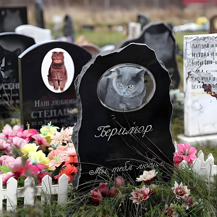 Ce opțiuni de personalizare ridică plăcile memoriale pentru animale de companie dincolo de numele de bază?