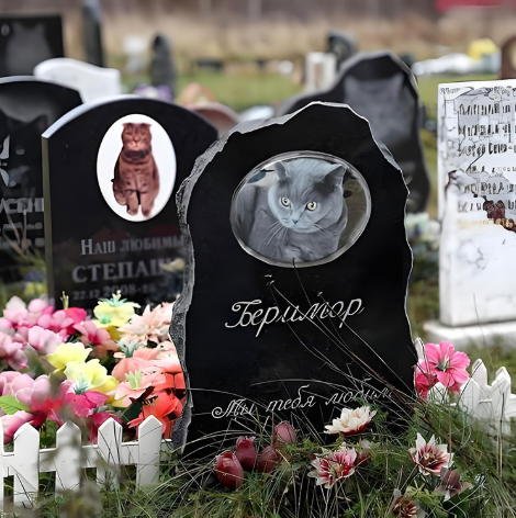De ce ar trebui să luăm în considerare un memorial pentru animale de companie?